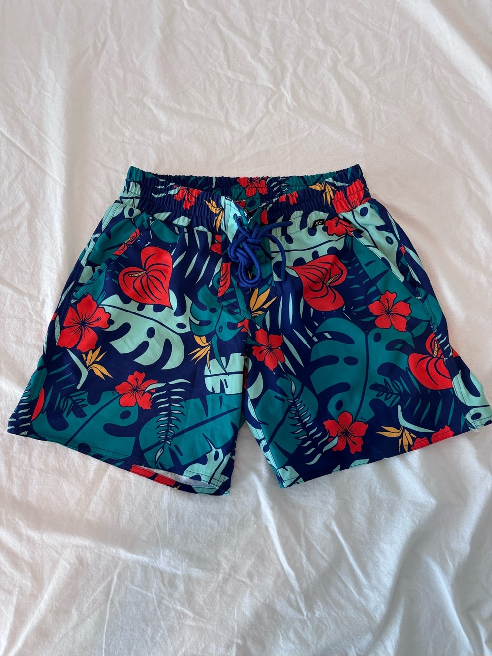 EUC TomboyX swim shorts